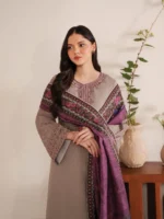 Women's Embroidered Dhanak Suit Brown Winter Party Wear - Image 3